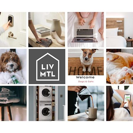 Liv Mtl Avenue Aparthotel Μόντρεαλ Εξωτερικό φωτογραφία